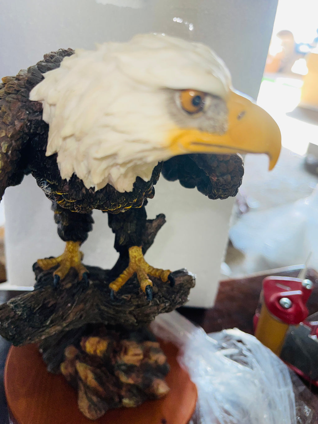 Eagle sitting on a branch