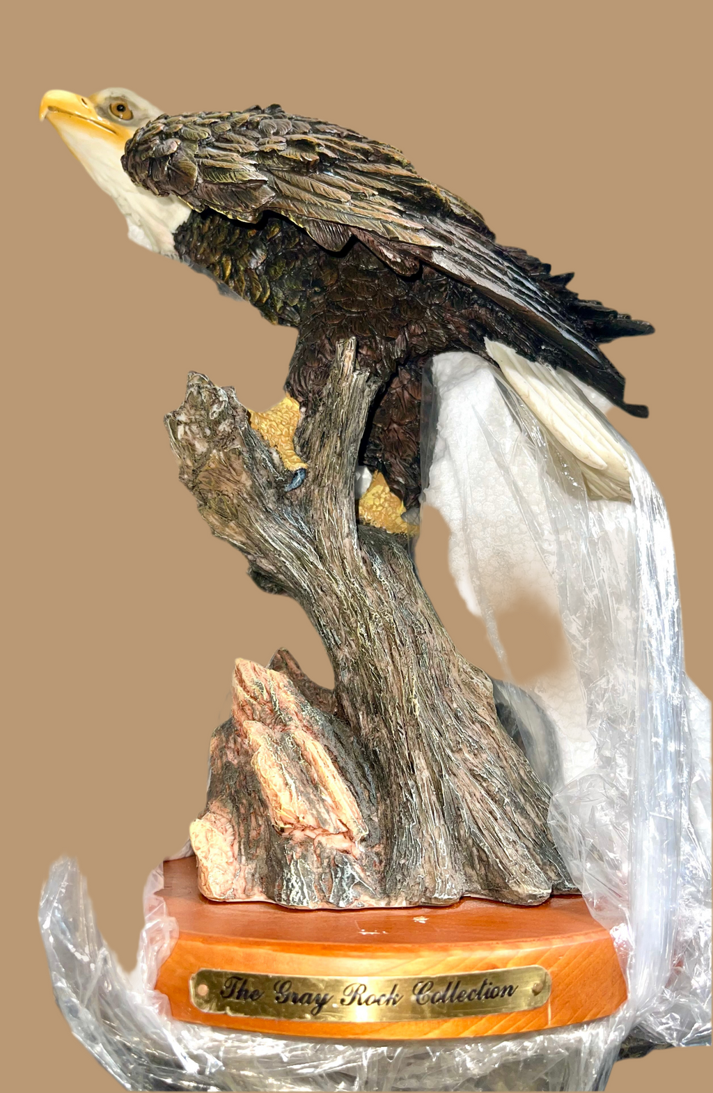 ￼Eagle sitting on the branch 