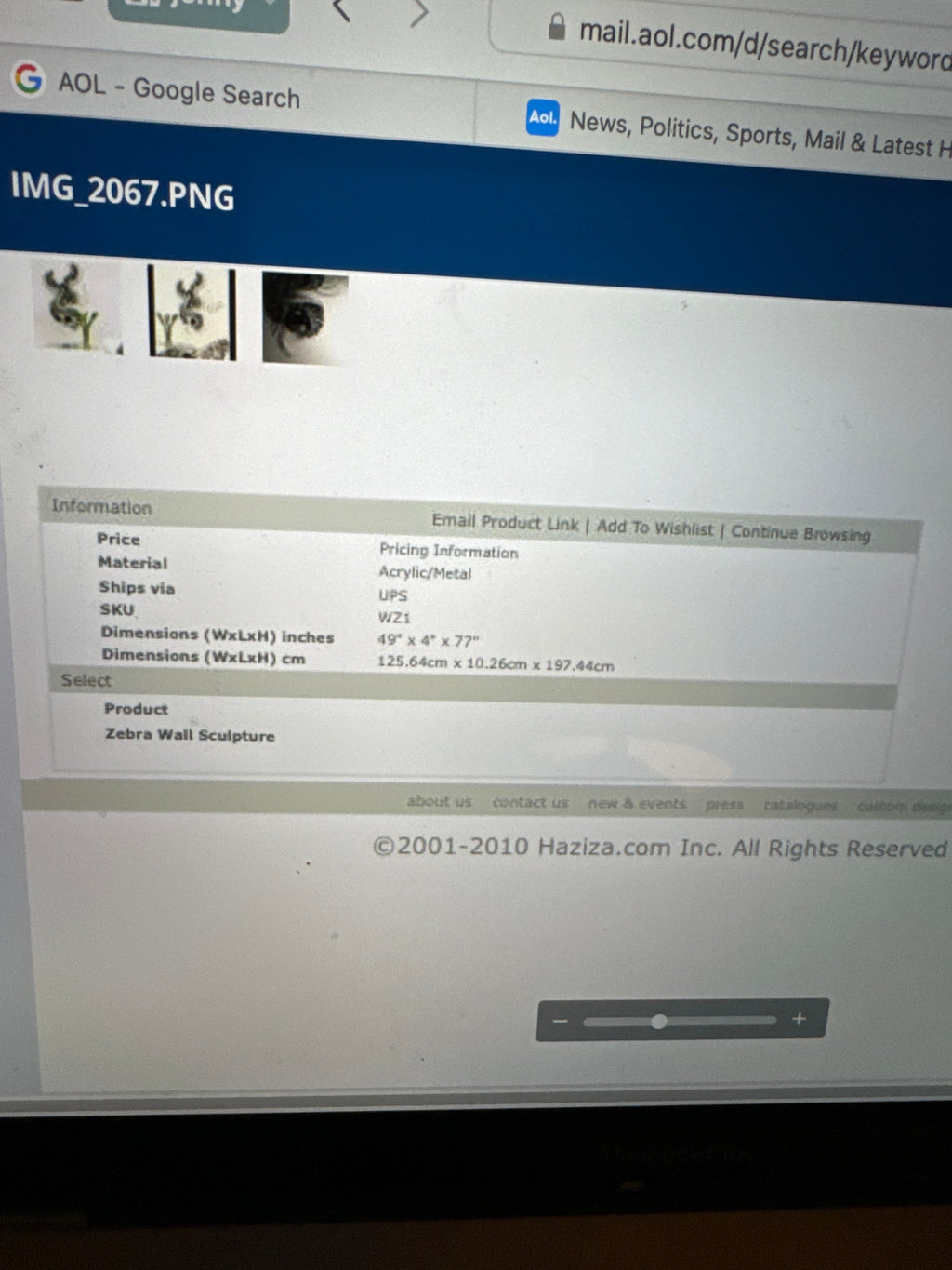 SHLOMI HAZIZA RED AND BLACK ZIBRA WALL ART