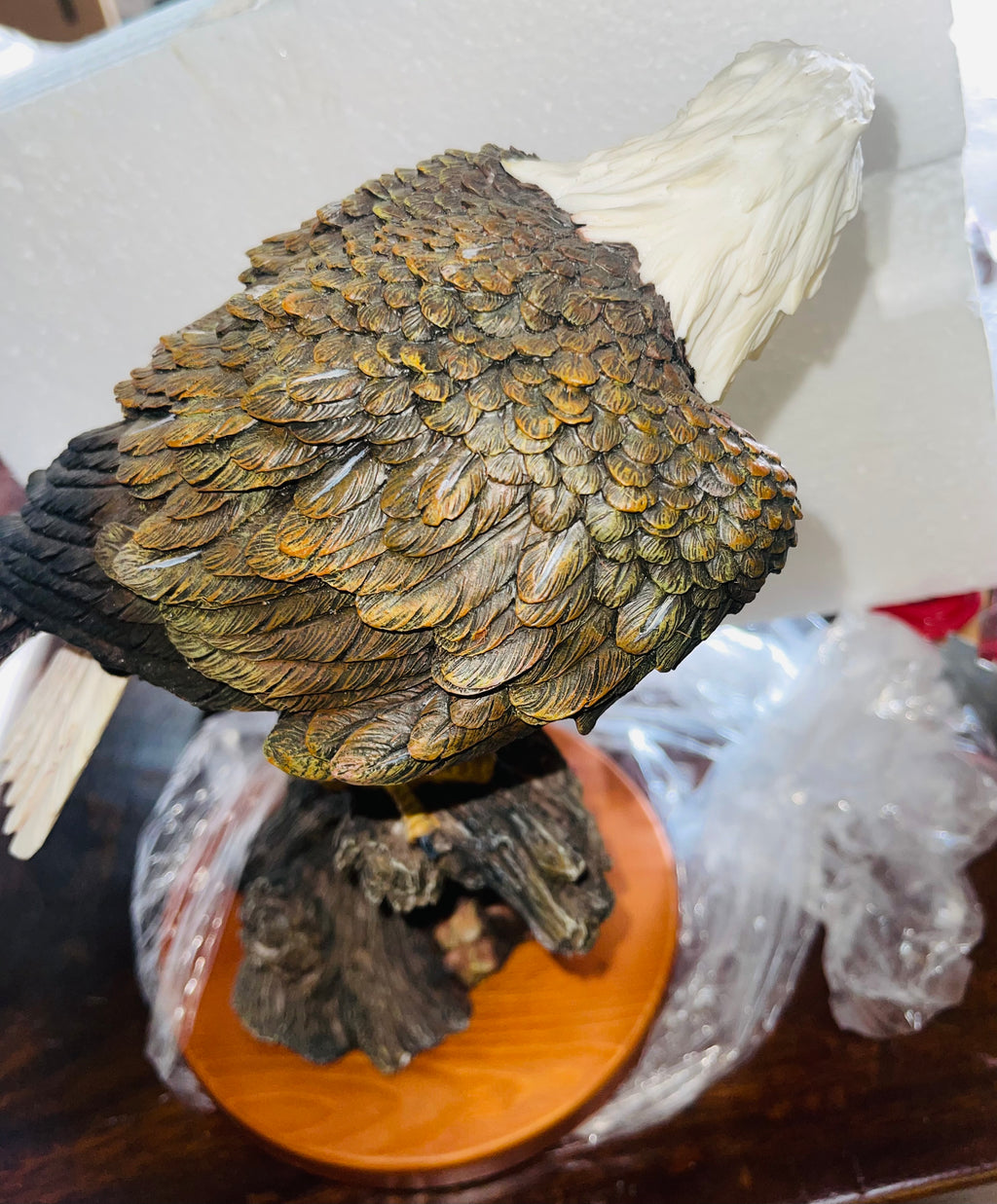 Eagle sitting on a branch