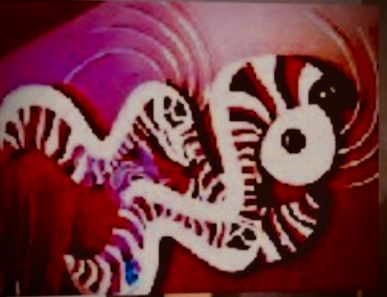 SHLOMI HAZIZA RED AND BLACK ZIBRA WALL ART