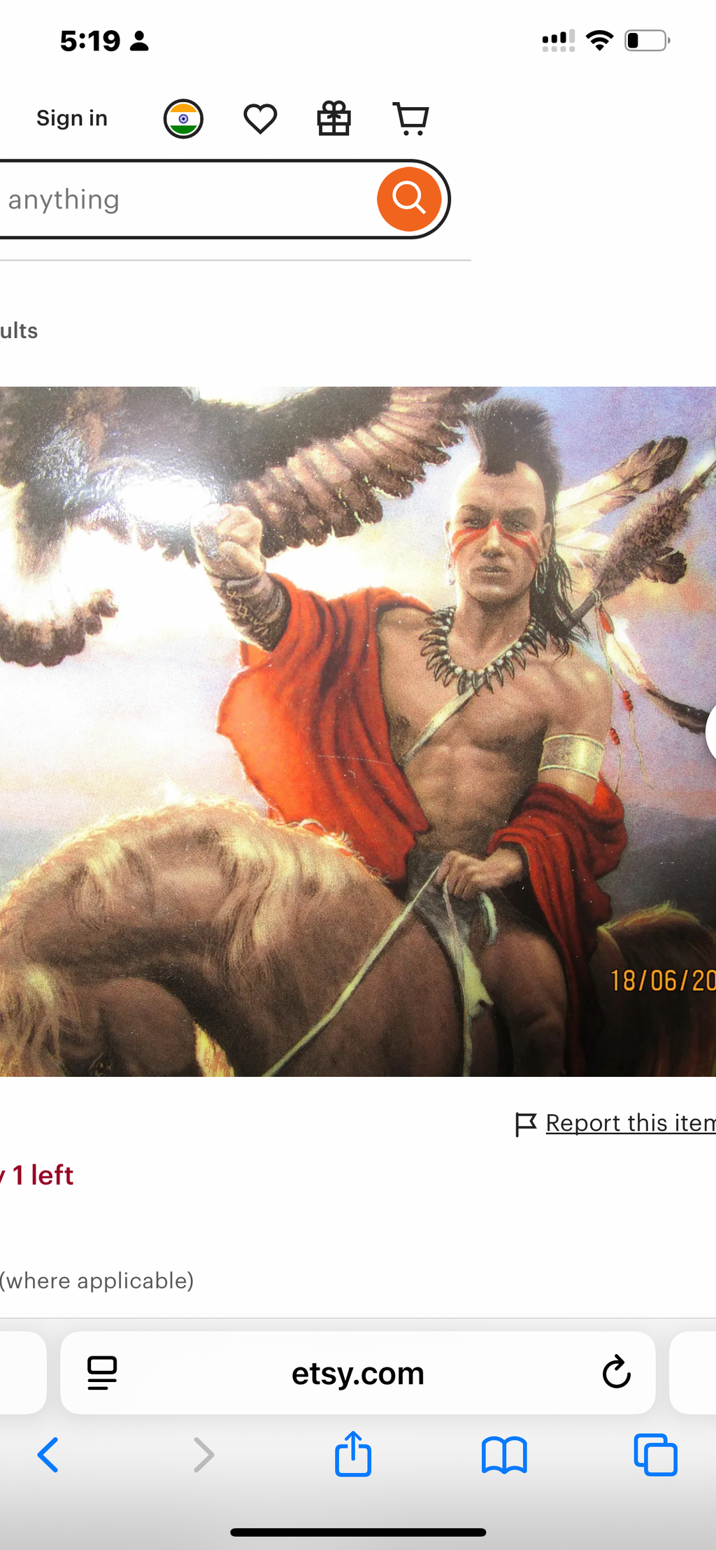 native American plate, 'spirit of the east wind' Franklin mint